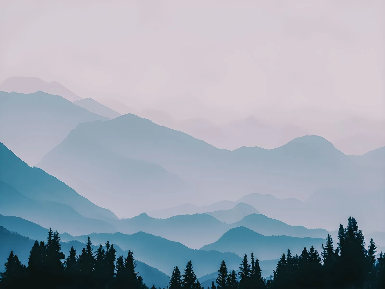 Fog & Conifers, Northern Forests
