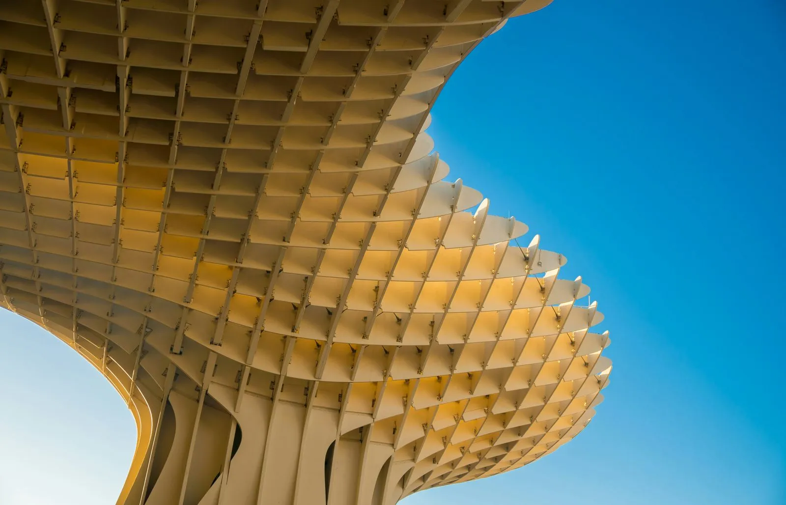 Rooftop & Sky, Contemporary