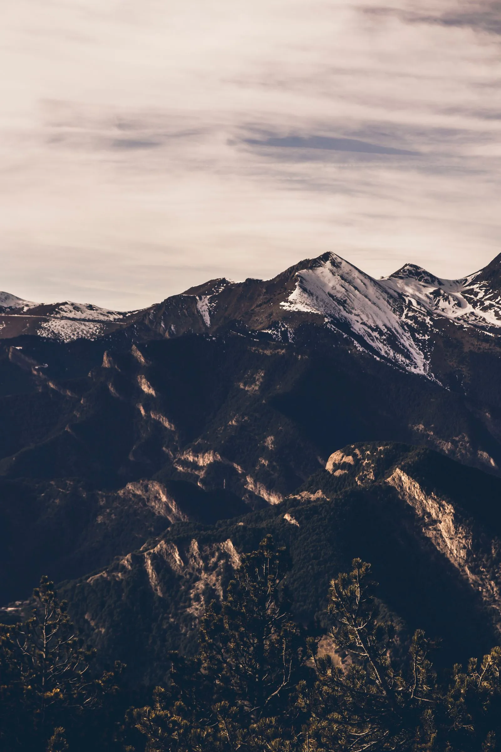 Scenic Vista, Open Highlands